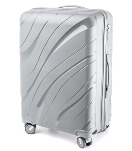 Чемодан RGL PP5 средний M серый фото, картинка, изображение