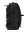 Рюкзак BL Пилосос 31 л. чорний (00011470) фото, картинка, изображение
