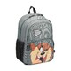 Дитячий рюкзак Roncato LOONEY TUNES KIDS 441002/22 картинка, зображення, фото