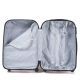 Валіза Wings 310 велика L шампань - картинка, зображення, фото валізи