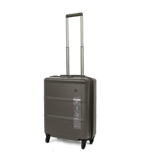 Чемодан Echolac ELISE/Grey маленький S EcPC094-403-04 фото, картинка, изображение