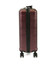 Валіза Echolac CIELO/Burgundy S Маленька EcPC121-403-20 - картинка, зображення, фото валізи