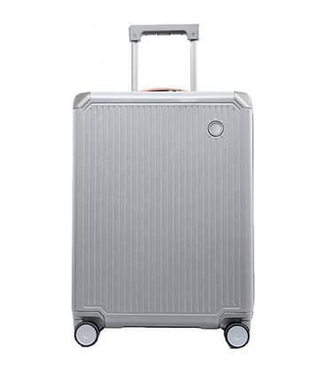 Чемодан Echolac SHOGUN/Smoked Pearl Grey Maxi EcPC148-401-09 картинка, изображение, фото