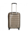 Чемодан Enrico Benetti Denver Dark Champagne Mini Eb18013 259-50 картинка, изображение, фото