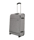 Чемодан Enrico Benetti Dallas Light Grey Midi Eb39042 026-60 фото, картинка, изображение