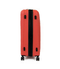 Валіза IT Luggage MESMERIZE/Cayenne L Велика IT16-2297-08-L-S366 картинка, зображення, фото