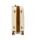 Чемодан IT Luggage VALIANT/Cream маленький S IT16-1762-08-S-S176 фото, картинка, изображение