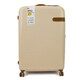 Валіза IT Luggage VALIANT/Cream L Велика IT16-1762-08-L-S176 - картинка, зображення, фото валізи