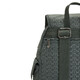 Рюкзак Kipling CITY PACK S Sign Green Emb (F6C) K15641_F6C картинка, зображення, фото