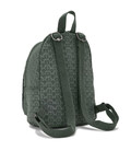 Рюкзак Kipling NEW DELIA COMPACT Sign Green Emb (F6C) KI7902_F6C картинка, изображение, фото