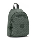 Рюкзак Kipling NEW DELIA COMPACT Sign Green Emb (F6C) KI7902_F6C картинка, изображение, фото