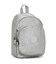 Рюкзак Kipling NEW DELIA COMPACT Bright Metallic (QD7) KI7902_QD7 фото, картинка, изображение