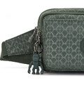 Сумка Kipling ABANU MULTI Sign Green Emb (F6C) KI3492_F6C картинка, зображення, фото