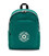 Рюкзак для ноутбука Kipling CURTIS Maxi Cool Green C (X66) KI6521_X66 картинка, изображение, фото