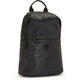 Рюкзак Kipling DAYANA Muze + Black (V82) KI2976_V82 картинка, зображення, фото