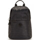 Рюкзак Kipling DAYANA Muze + Black (V82) KI2976_V82 картинка, зображення, фото