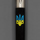 Ручка шариковая Parker JOTTER Originals UKRAINE Black CT BP Трезубец сине-желтый 15632_T0016u фото
