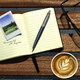 Ручка кулькова Parker JOTTER XL Primrose Matt Blue CT BP 12 132 картинка, зображення, фото