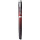 Ручка перьевая Parker IM Premium SE Last Frontier Portal CT FP F 25 311 фото