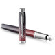 Ручка перьевая Parker IM Premium SE Last Frontier Portal CT FP F 25 311 фото