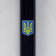 Ручка-роллер Parker IM UKRAINE Black GT RB Герб Украины сине-желт. 22022_T0076u фото