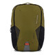 Рюкзак для ноутбука Piquadro Foldable (FLD) Military Green CA6005FLD_VE картинка, зображення, фото
