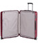 Чемодан Titan Litron Cherry большой L Ti700244-10 фото, картинка, изображение