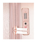 Чемодан Titan BARBARA GLINT/Rose Metallic большой L Ti845404-15 фото, картинка, изображение