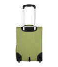 Чемодан детский Travelite YOUNGSTER Green Dog TL081697-80 картинка, изображение, фото