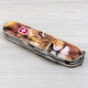 Складаний ніж Victorinox SPARTAN ANIMAL Лев 1.3603.7.F1010pw - картинка, зображення, фото ножа