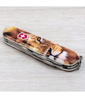 Складной нож Victorinox SPARTAN ANIMAL Лев 1.3603.7.F1010pw фото, картинка, изображение