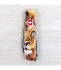 Складной нож Victorinox SPARTAN ANIMAL Лев 1.3603.7.F1010pw фото, картинка, изображение