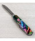 Складной нож Victorinox CAMPER ANIMAL Хамелеон 1.3613.3.F1020pw фото, картинка, изображение