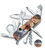 Складной нож Victorinox EXPLORER ANIMAL Лиса 1.6703.7.F1060pw фото, картинка, изображение