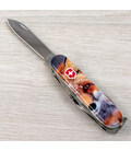 Складной нож Victorinox EXPLORER ANIMAL Лиса 1.6703.7.F1060pw фото, картинка, изображение