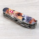 Складаний ніж Victorinox EXPLORER ANIMAL Лисиця 1.6703.7.F1060pw - картинка, зображення, фото ножа