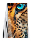 Складной нож Victorinox HIKER ANIMAL Леопард 1.4613.3.F1080pw фото, картинка, изображение
