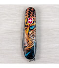 Складной нож Victorinox HIKER ANIMAL Леопард 1.4613.3.F1080pw фото, картинка, изображение