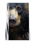 Складной нож Victorinox FIELDMASTER ANIMAL Черный медведь 1.4713.3.F1100pw фото, картинка, изображение