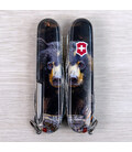 Складаний ніж Victorinox FIELDMASTER ANIMAL Чорний ведмідь 1.4713.3.F1100pw картинка, зображення, фото