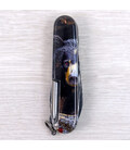 Складной нож Victorinox FIELDMASTER ANIMAL Черный медведь 1.4713.3.F1100pw фото, картинка, изображение