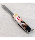 Складной нож Victorinox FISHERMAN ANIMAL Панда 1.4733.7.F1110pw фото, картинка, изображение