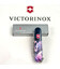 Складной нож Victorinox CLIMBER ZODIAC Волшебный дракон 1.3703.3.Z3280p фото, картинка, изображение