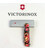 Складаний ніж Victorinox SPARTAN ZODIAC Китайський зелений дракон 1.3603.Z3300p картинка, зображення, фото