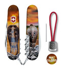 Складной нож Victorinox SPARTAN ZODIAC Королевская кобра 1.3603.Z4230pk фото, картинка, изображение