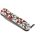Складаний ніж Victorinox Classic Edelweiss 0.6203.840 картинка, зображення, фото