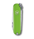 Складаний ніж Victorinox CLASSIC SD Colors 0.6223.43G картинка, зображення, фото