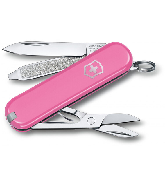Складной нож Victorinox CLASSIC SD Colors 0.6223.51G фото, картинка, изображение