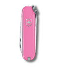 Складаний ніж Victorinox CLASSIC SD Colors 0.6223.51G картинка, зображення, фото