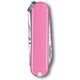 Складной нож Victorinox CLASSIC SD Colors 0.6223.51G фото
